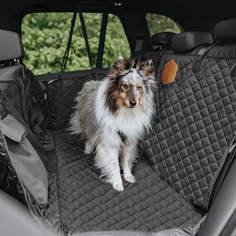 Animò™ – Copri sedile Posteriore Rigido Waterproof per Cani