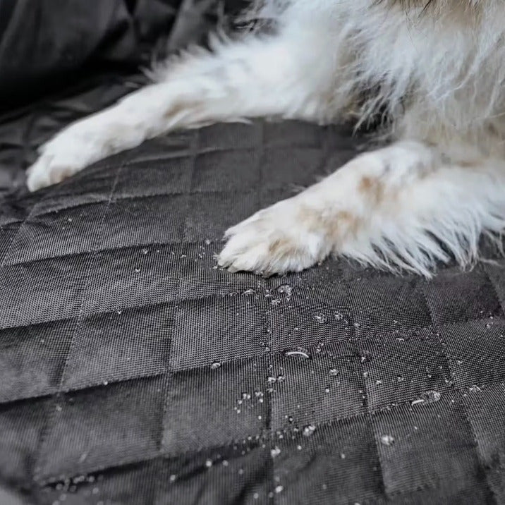 Animò™ – Copri sedile Posteriore Rigido Waterproof per Cani