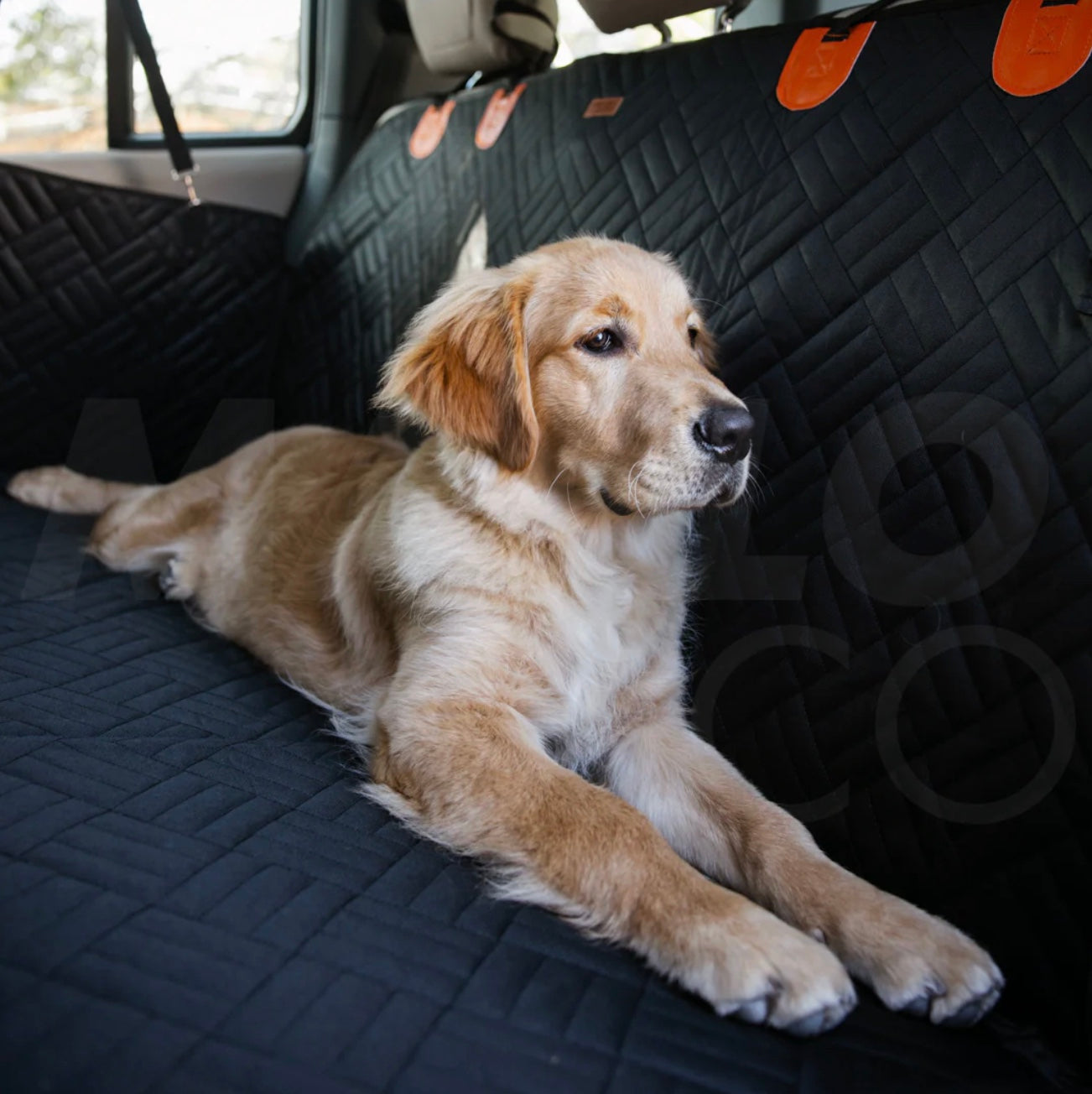 Caniaura™ – Coprisedile Auto per Cani con Fondo Rigido, Protezione Totale